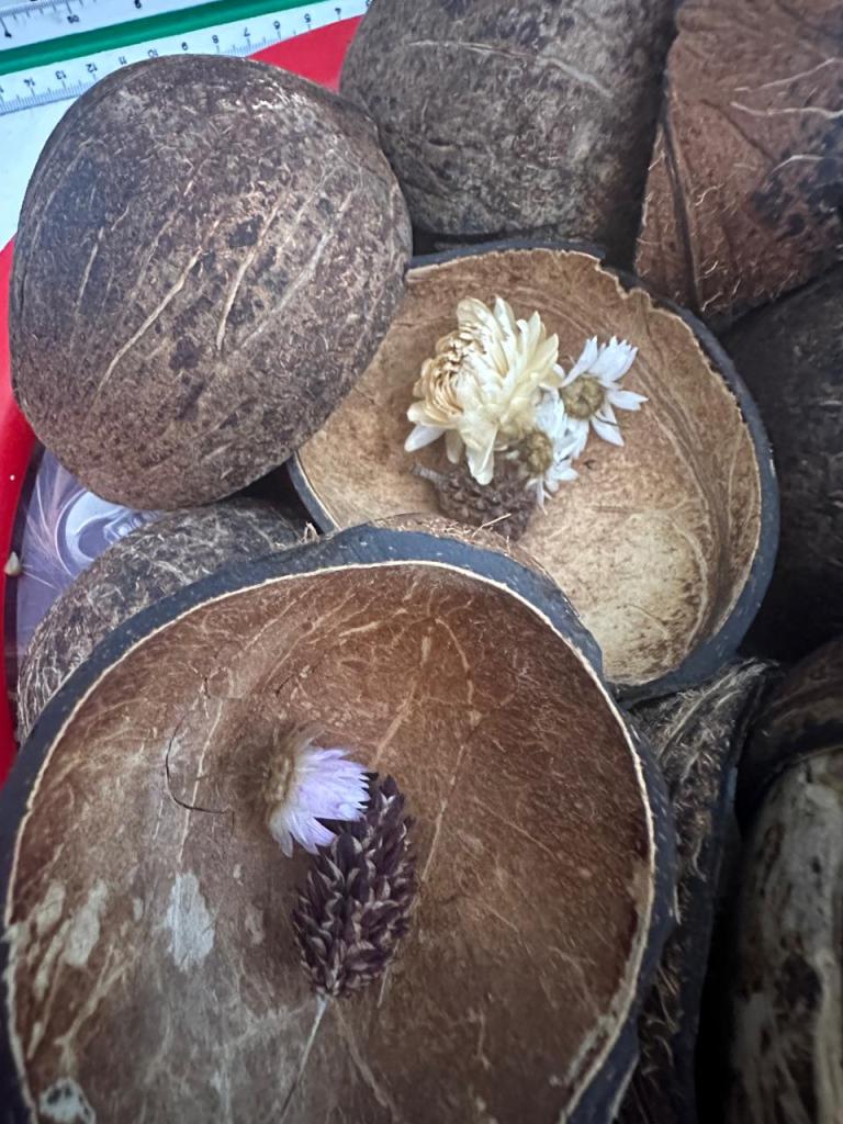 artisanat noix de coco